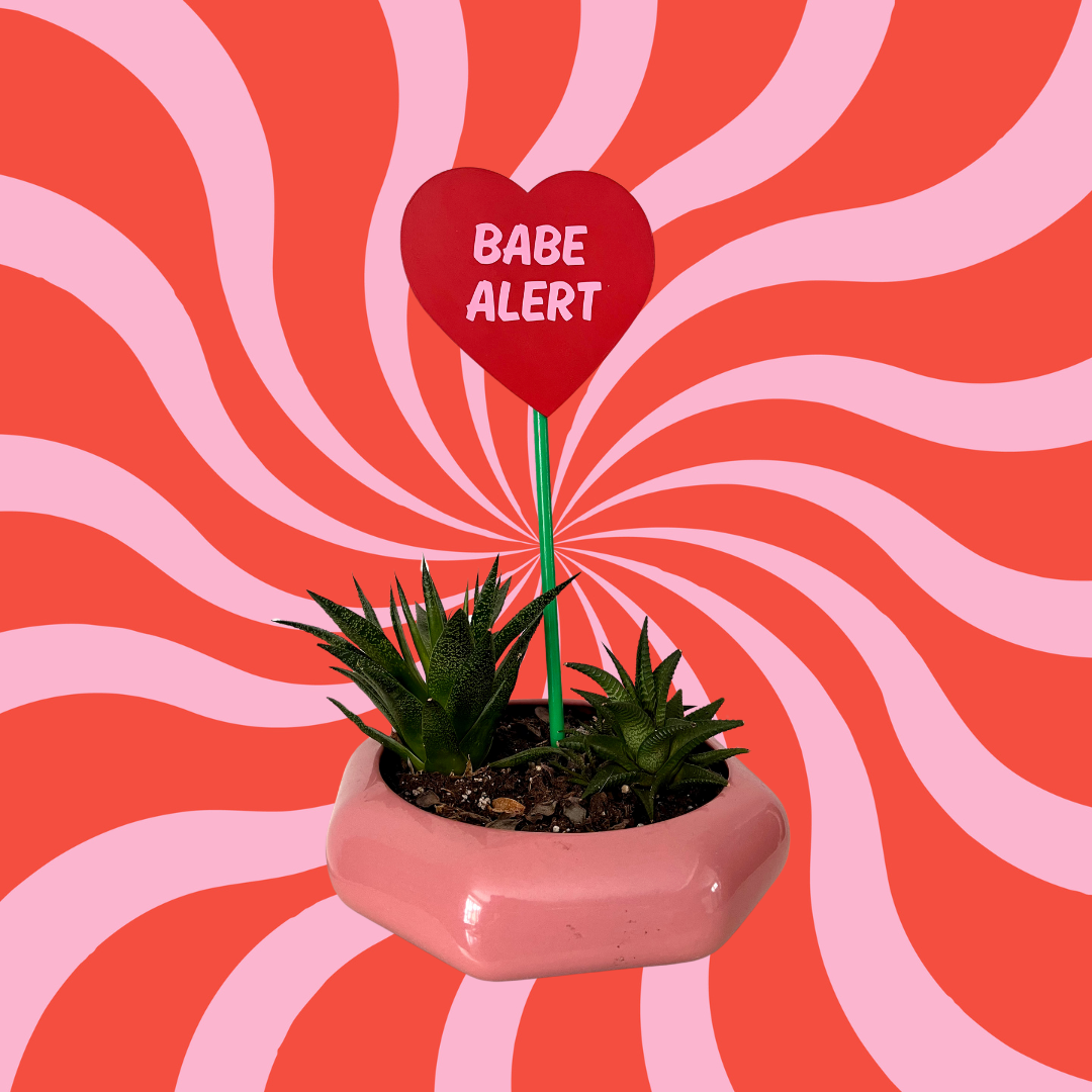 Candy Heart Wood Plant Ornament