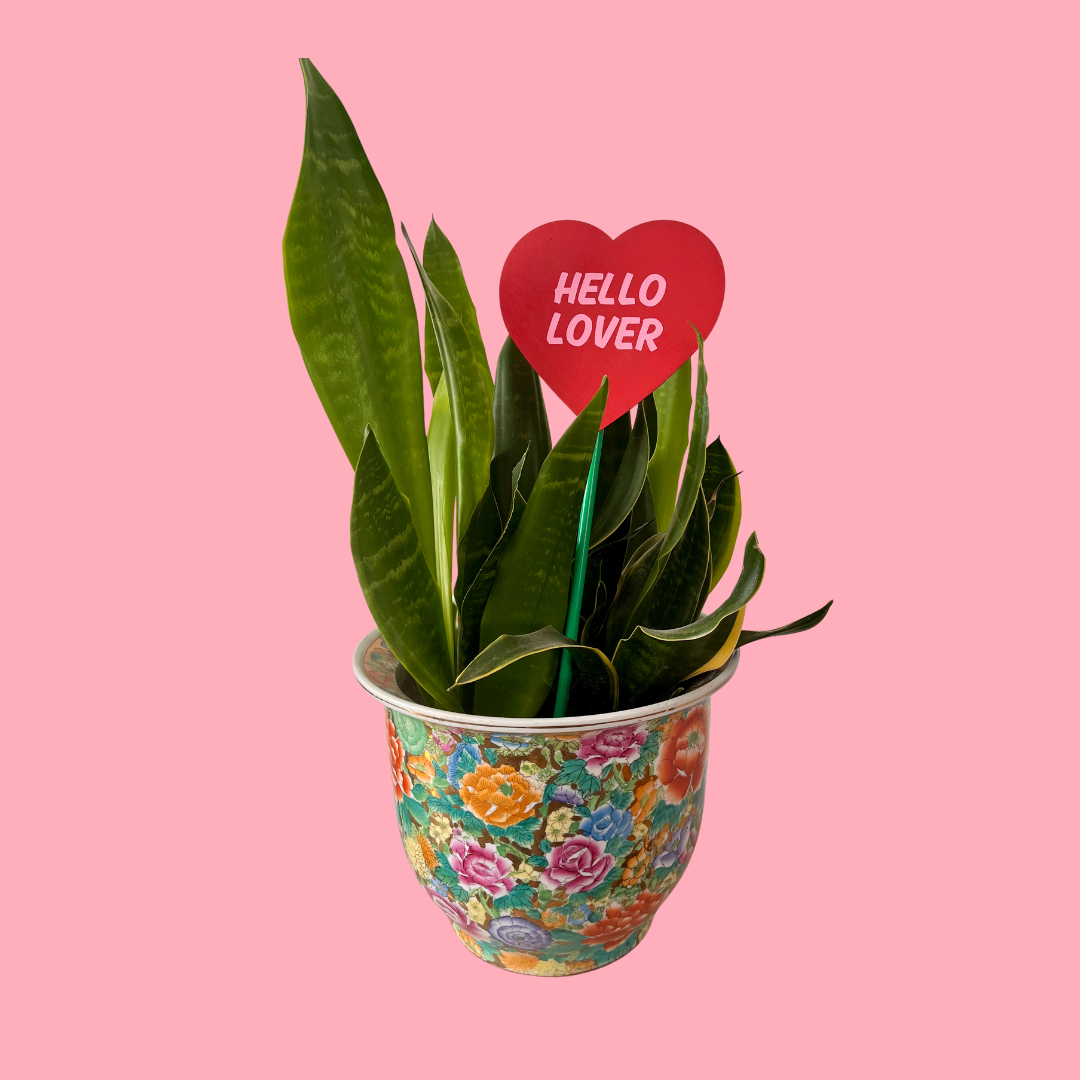 Candy Heart Wood Plant Ornament